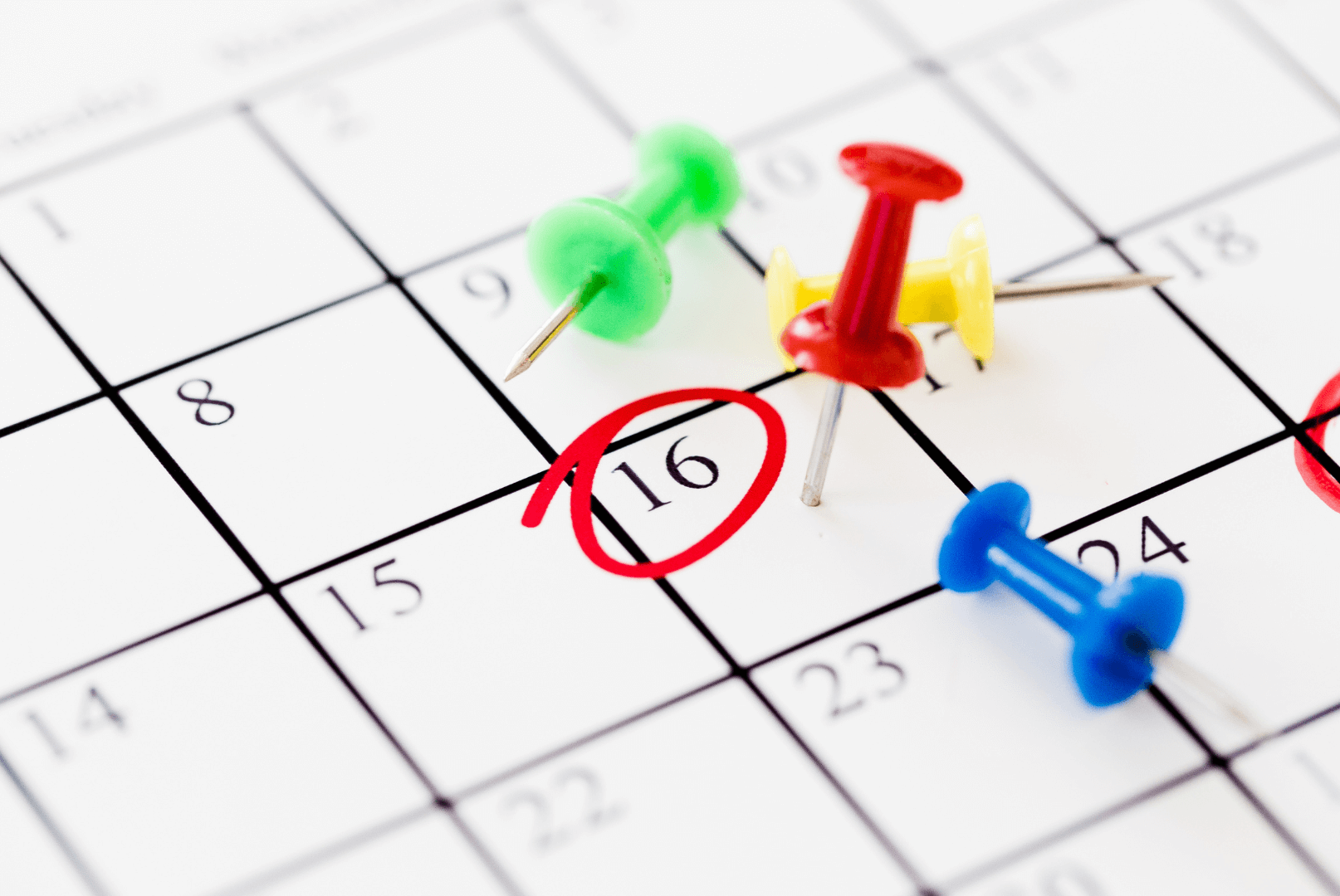 Contratar un servicio paso 2